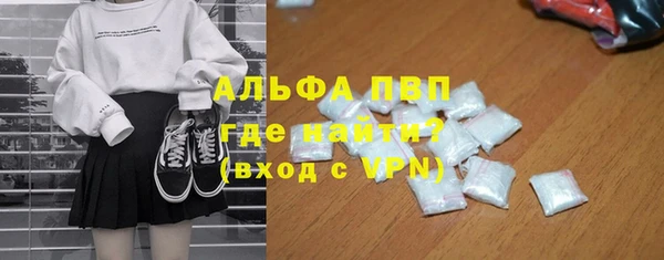 apvp Белокуриха